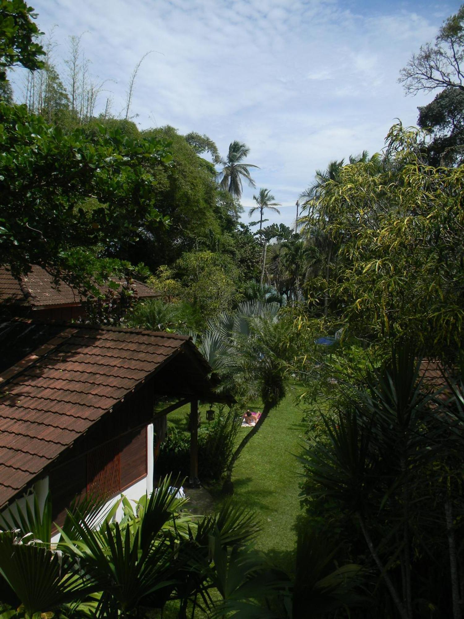 Chalet Y Cabinas Hibiscus Cahuita Eksteriør billede