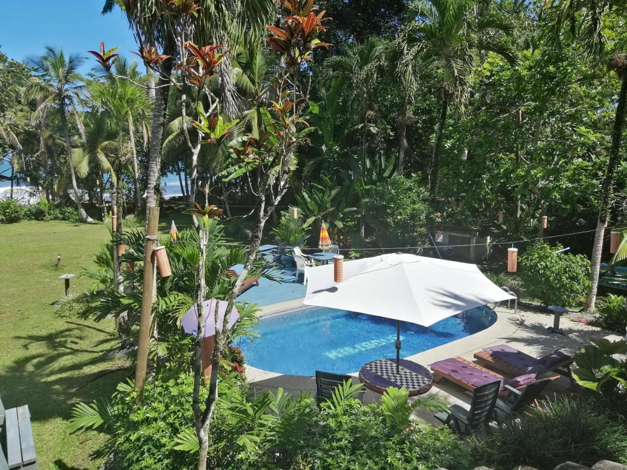Chalet Y Cabinas Hibiscus Cahuita Eksteriør billede